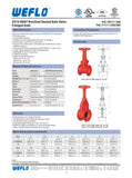 RAIDON (WEFLO) OS&Y GATE VALVE, Flange x Flange, UL/FM