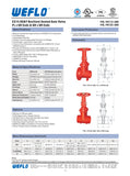 RAIDON (WEFLO) OS&Y GATE VALVE, Flange x Groove, UL/FM