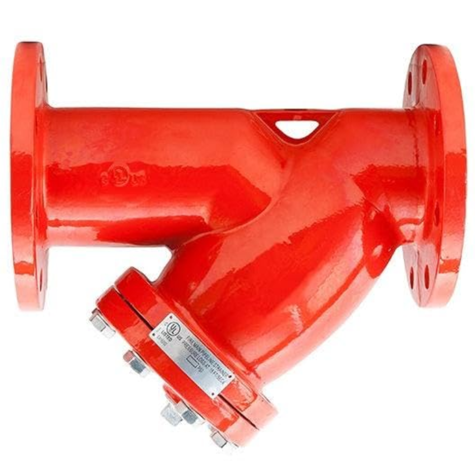 WYE STRAINER, Flanged
