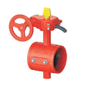 WEFLO F1033-300, Butterfly Valve, Groove x Groove, UL/FM Listed.