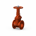 OS&Y Gate Valve - Enhanced